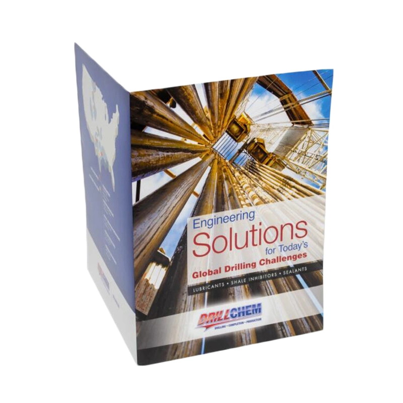 Custom Brochure Printing Magazine Wholesales Brochure