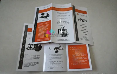 Custom Design Printing 3 Panel Folded Booklet/catalog/Brochure